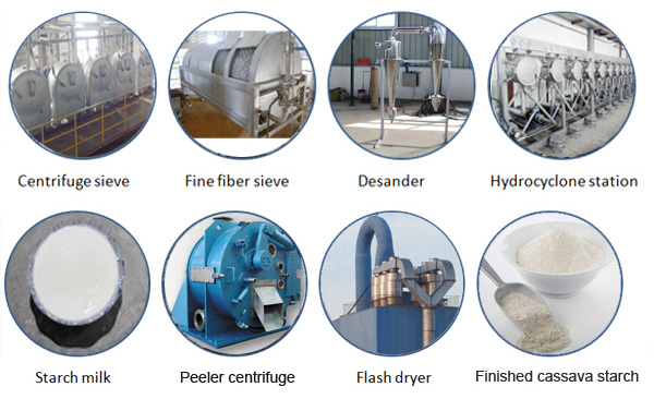 cassava starch production process information about its production.jpg