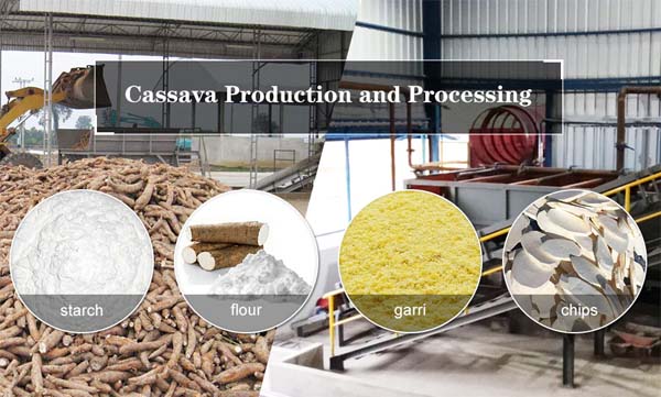 Main cassava processing methods.jpg