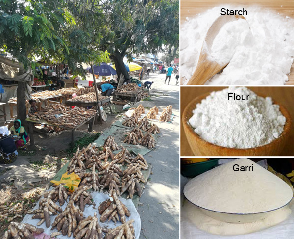 cassava processing